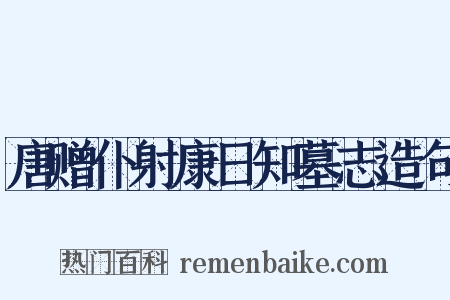 唐赠仆射康日知墓志造句是什么意思的图片